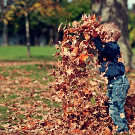 A kid playing with leaves, a fun autumn activity.
