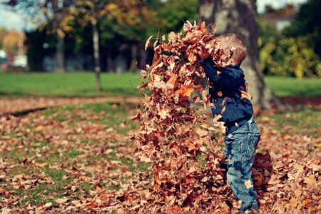 A kid playing with leaves, a fun autumn activity.