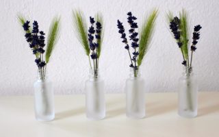 A minimalist plant arrangement on a tasteful table.